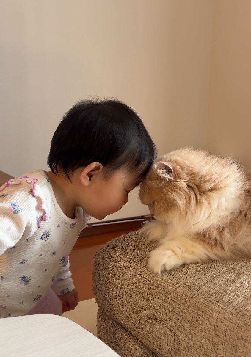 最近おでこくっつけて挨拶してて可愛い