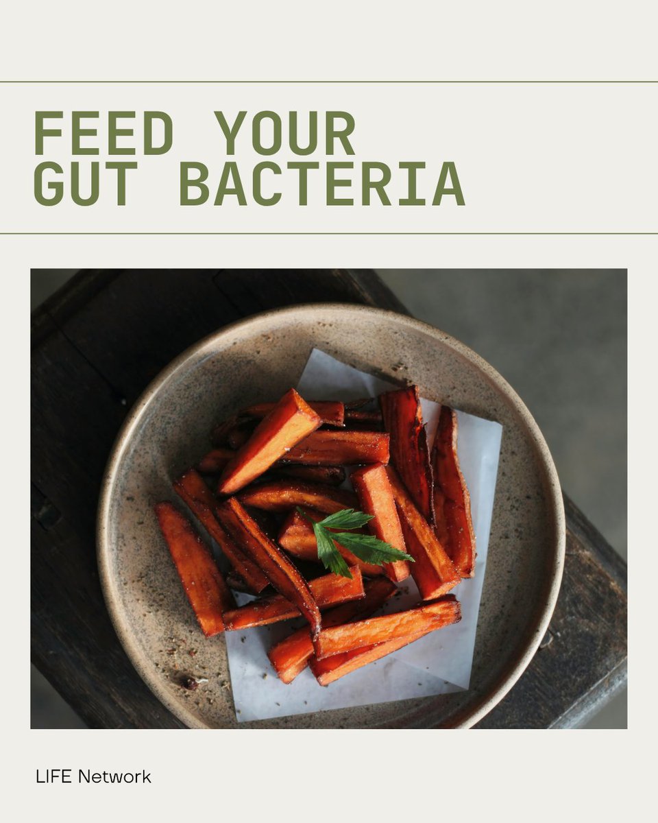 joinlifenetwork's tweet photo. Fries don’t have to wreck your energy or your nutrition strategy.

Baking instead of frying allows the natural sugars in sweet potatoes to caramelize while excess moisture slowly evaporates with no need for heavy oils, no greasy aftermath, and no compromise on texture.

Sweet potatoes also deliver more than just flavor. Their fiber feeds beneficial gut bacteria, helping produce butyrate, a short-chain fatty acid that plays a direct role in reducing inflammation, supporting gut integrity, and stabilizing blood sugar.

Paired with a ribeye steak or roast chicken, these fries become the kind of side that actually supports your nutrition strategy instead of working against it.

Here’s co-founder Ben Greenfield does it:

🍠 Cut sweet potatoes into even strips
🫒 Lightly coat with extra virgin olive oil
🌶️ Season with salt, cayenne, paprika, turmeric, and black pepper 
⏲️ Bake at 425°F in a single layer
🔄 Turn occasionally until golden, crisp on the outside, and tender inside

For more recipes like this, visit https://t.co/4V7lQPRcX0.

#Recipes #LIFENetwork #SweetPotatoFries