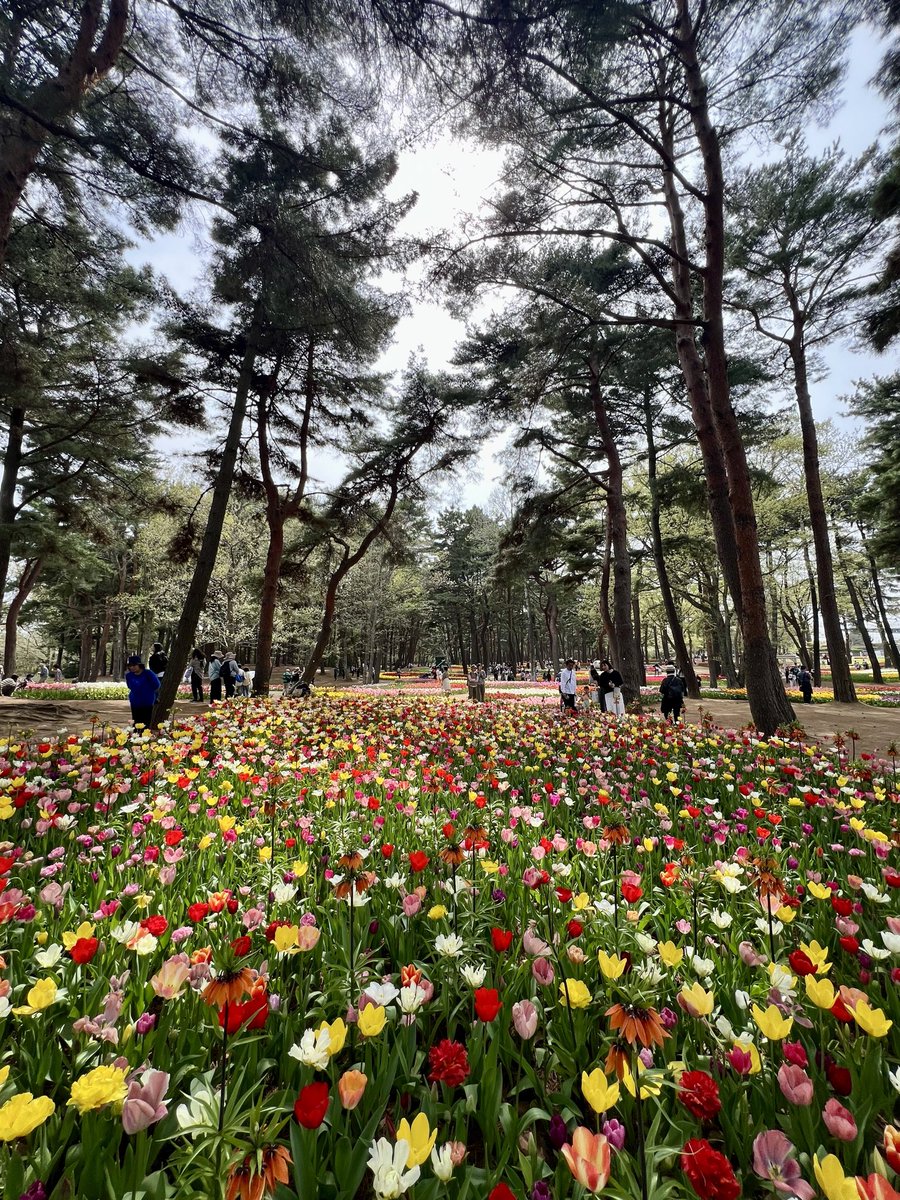 Kazu-papa tweet media