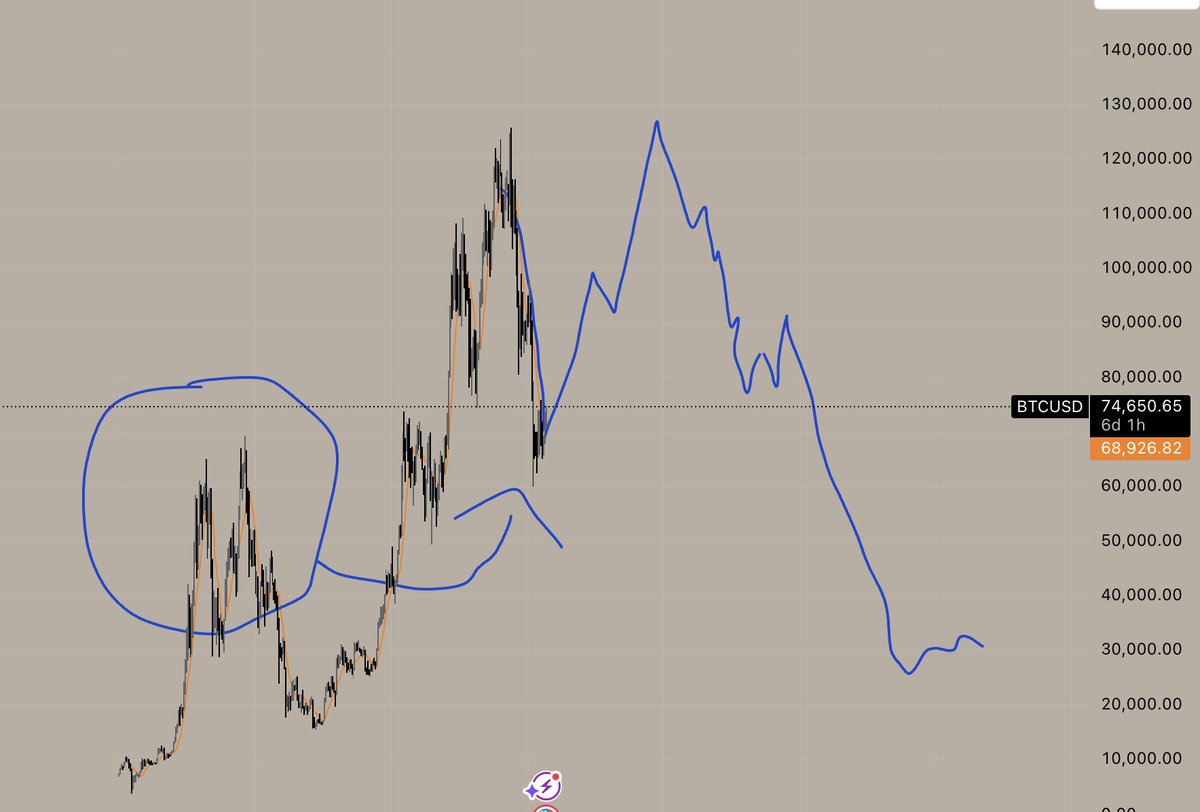 Beaver 🦁 tweet media