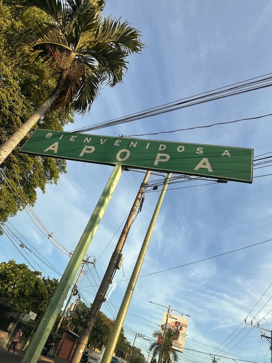 Francisco Araniva tweet media