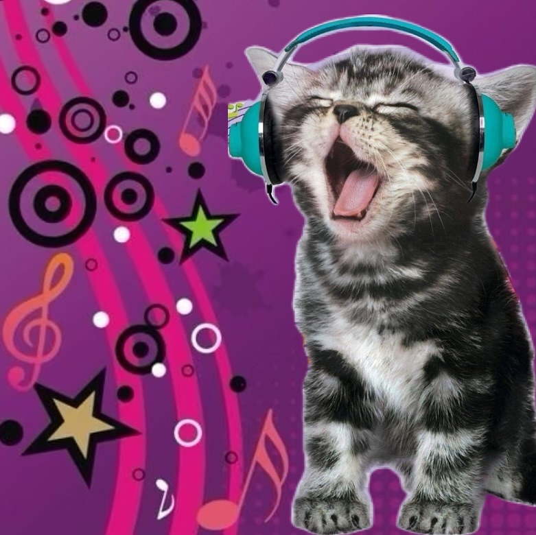 Punch Cat tweet media