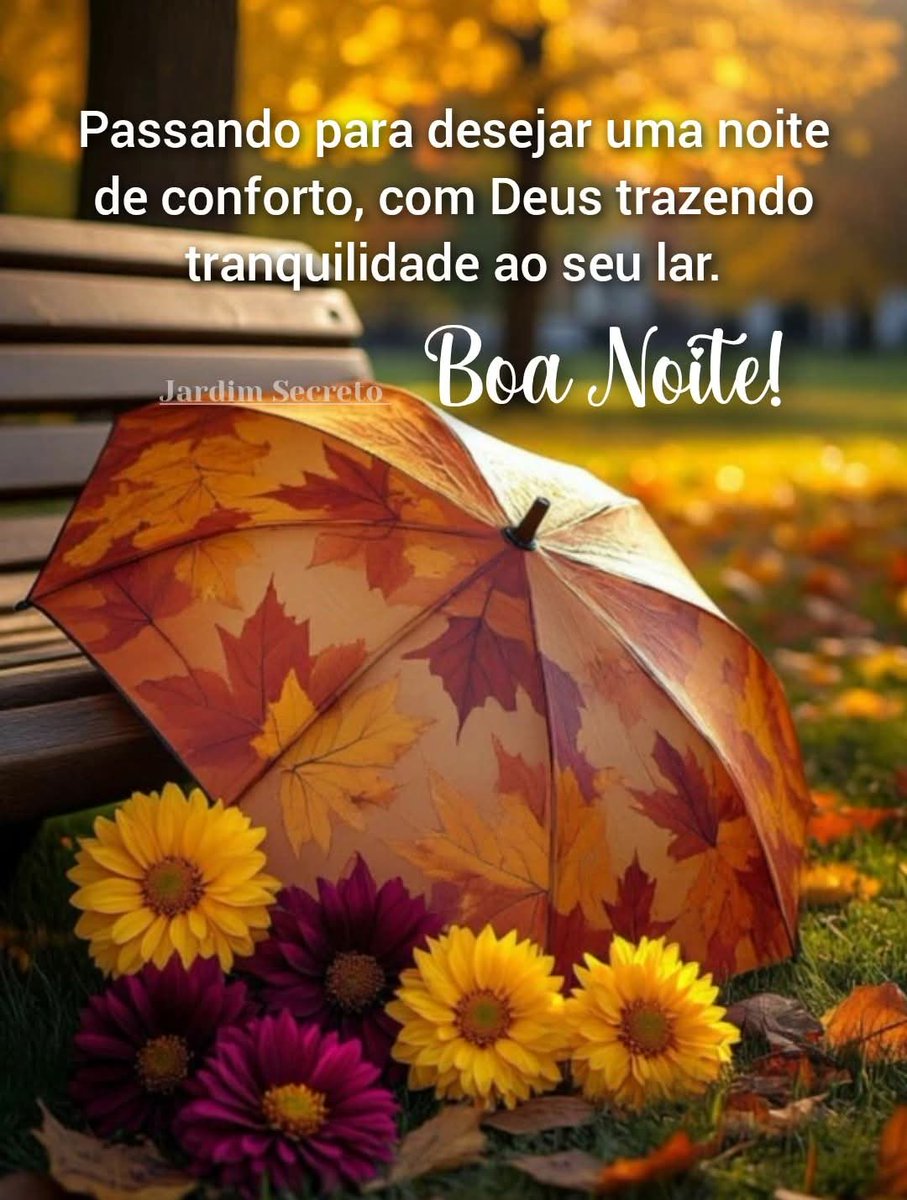 AcacioFerreiraRio tweet media