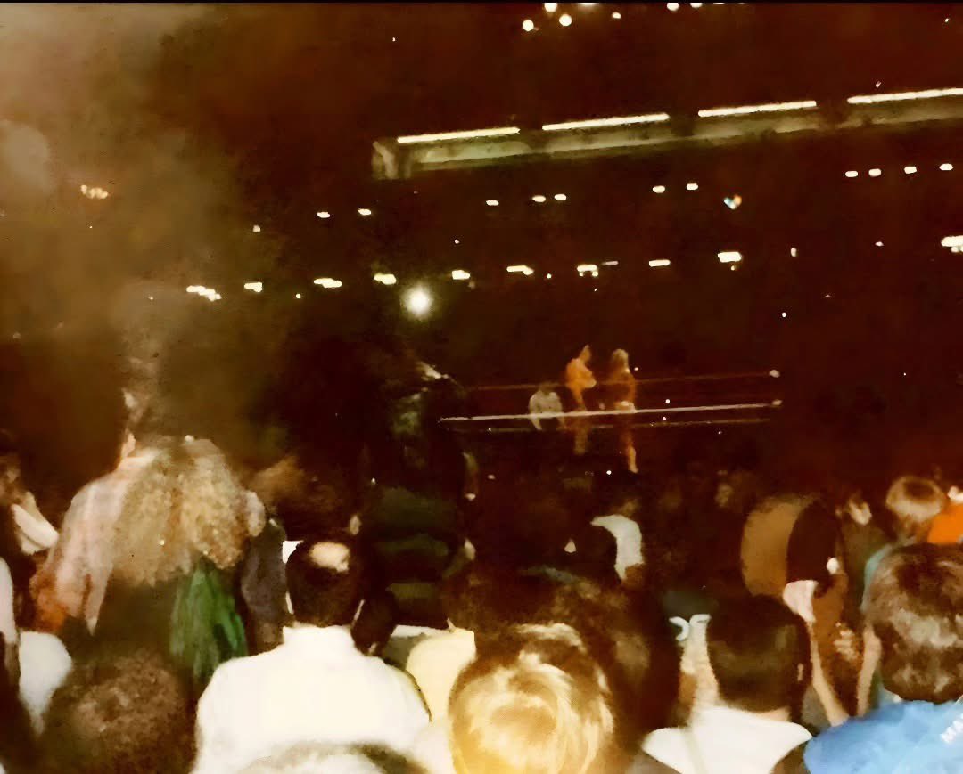 Book Pro Wrestlers tweet media