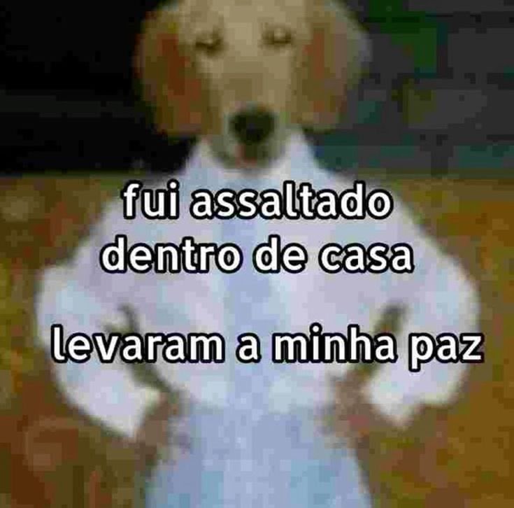 BabyyFlavia's tweet photo. @Viviane_desousa aí nem consegui assistir até o final. Impressionante como ele acha que está certo 🙄 https://t.co/IdGpE8K0MP