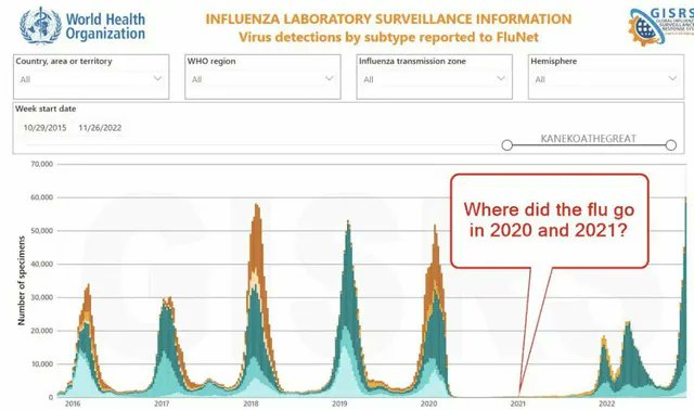<a href="/NicHulscher/">Nicolas Hulscher, MPH</a> they are such abhorrent, reprehensible, nauseating and heinous LIARS, all of them. 

BECAUSE THERE NEVER WAS A FIRST PANDEMIC. IT'S ALL LIES, ALL OF IT.