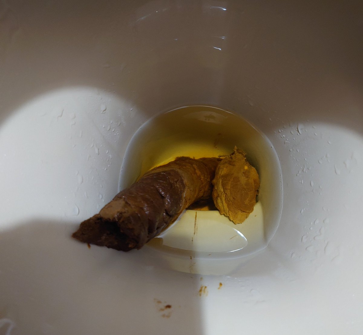 ひかねぇ@アラフォー絶倫長乳ぽよぽよ御嬢 いいね解放戦線 tweet media