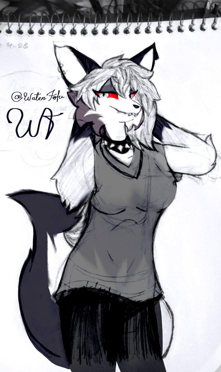 waterfofu's tweet image. Loona e uhhh um gato napolitano lombrado ai :P