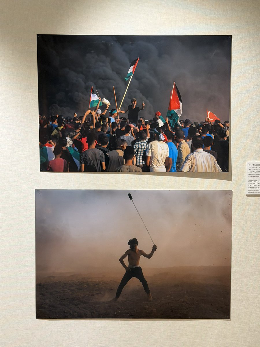 SILENT POETS tweet media