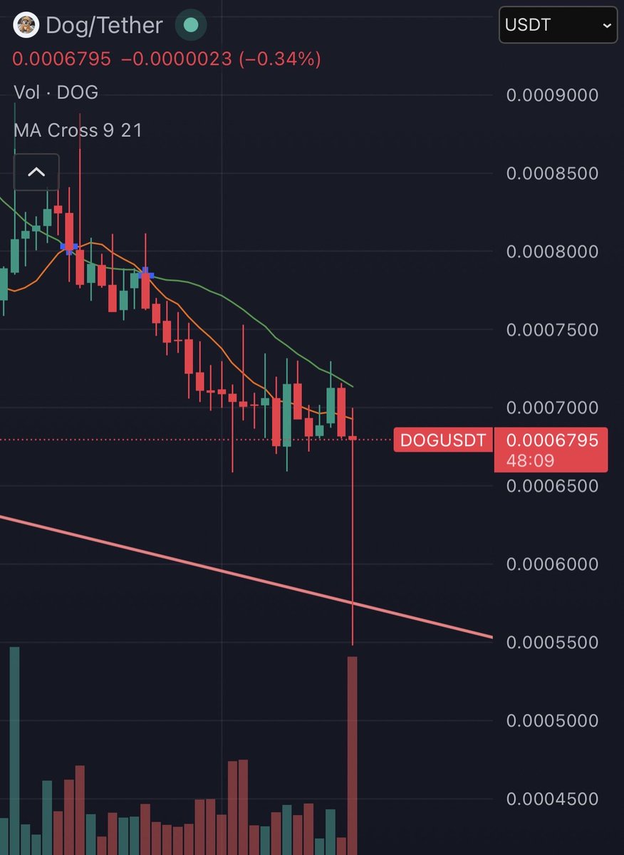Elem | dogmaxi.btc tweet media
