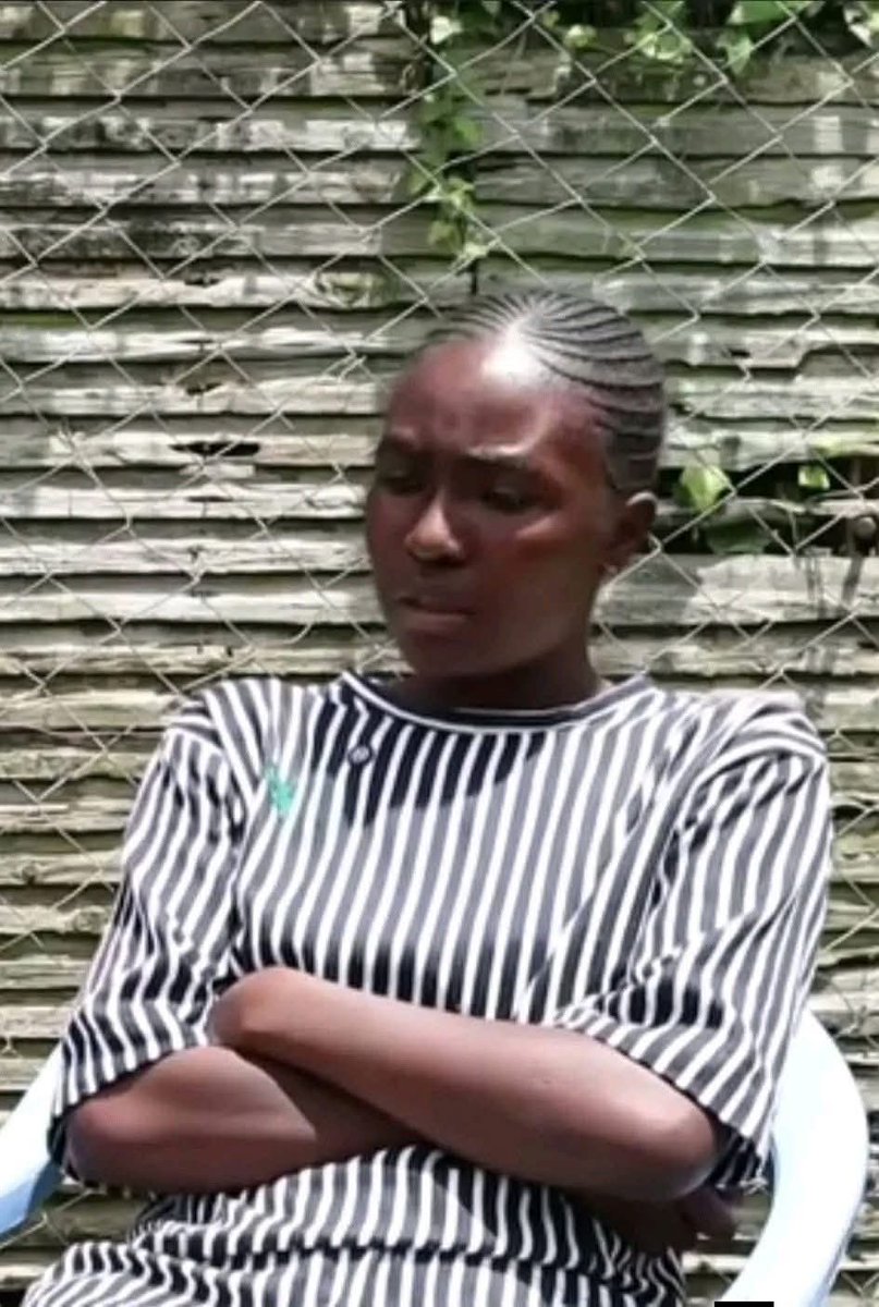 George T. Diano tweet media