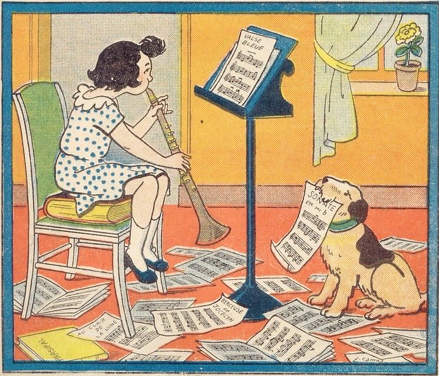 carolina tweet media