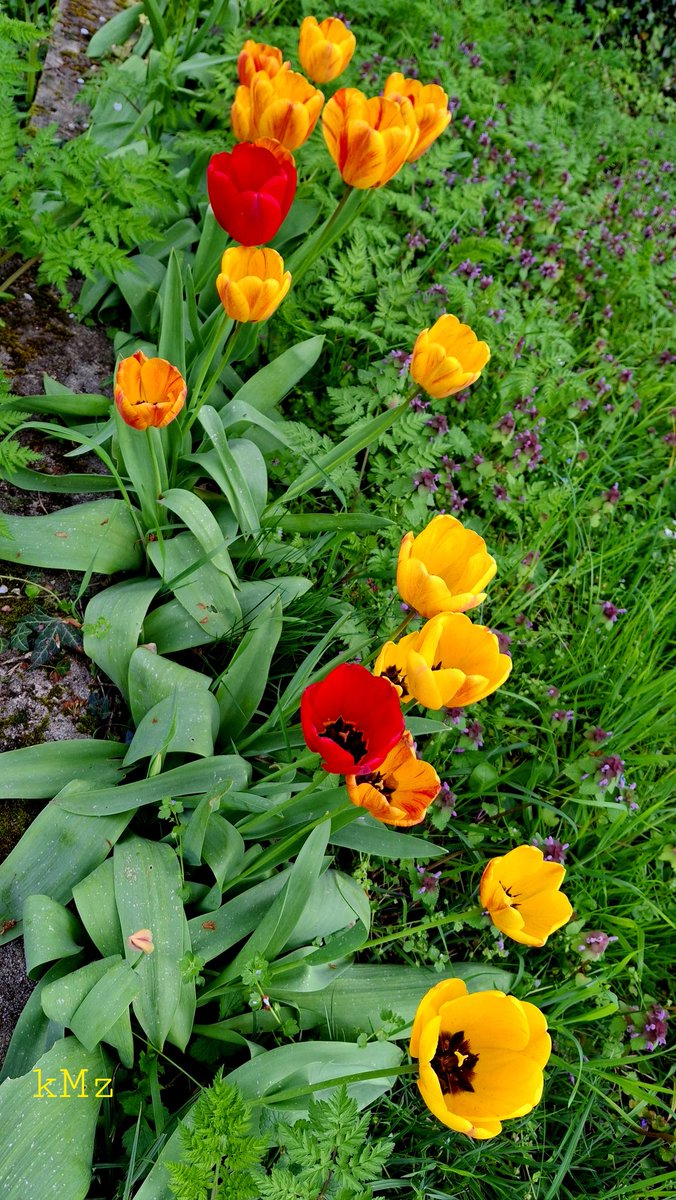 Jody Rivers tweet media