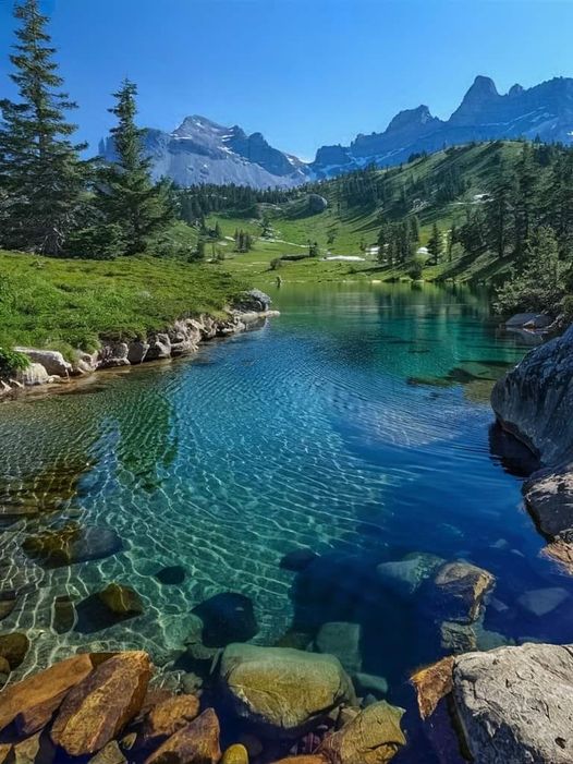 Jody Rivers tweet media