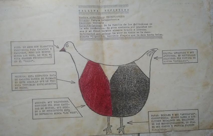 Historia de Rosario Central tweet media