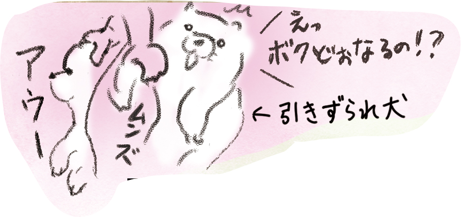 本日掲載日！＃東京新聞、＃府中市美術館「長沢（かわいい。）蘆雪」展です！ sugimatamihoko.cocolog-nifty.com/blog/2026/04/p…