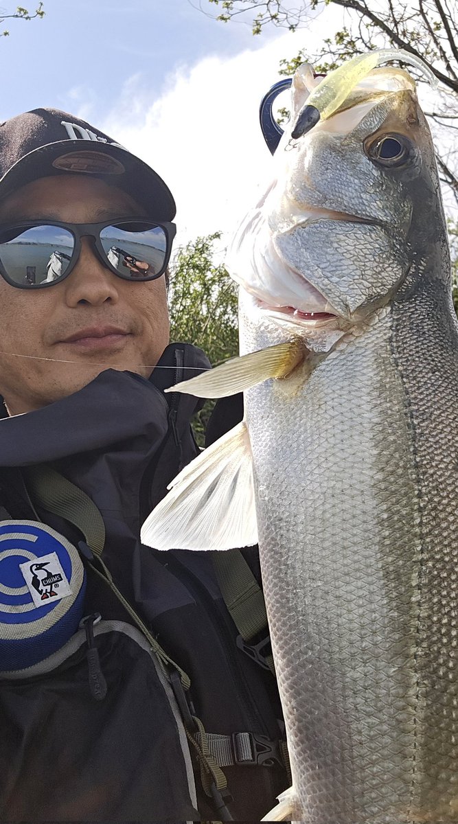 oohirarin's tweet photo. 春らしい柔らかいバイト！イイネ👍
#シーバス
#seabass
#デイゲーム
#コアマン
#coreman
#アルカリ
#パワーヘッド
#デイスター
#Daystar
#原点はこれ https://t.co/RY6zvwswQ1