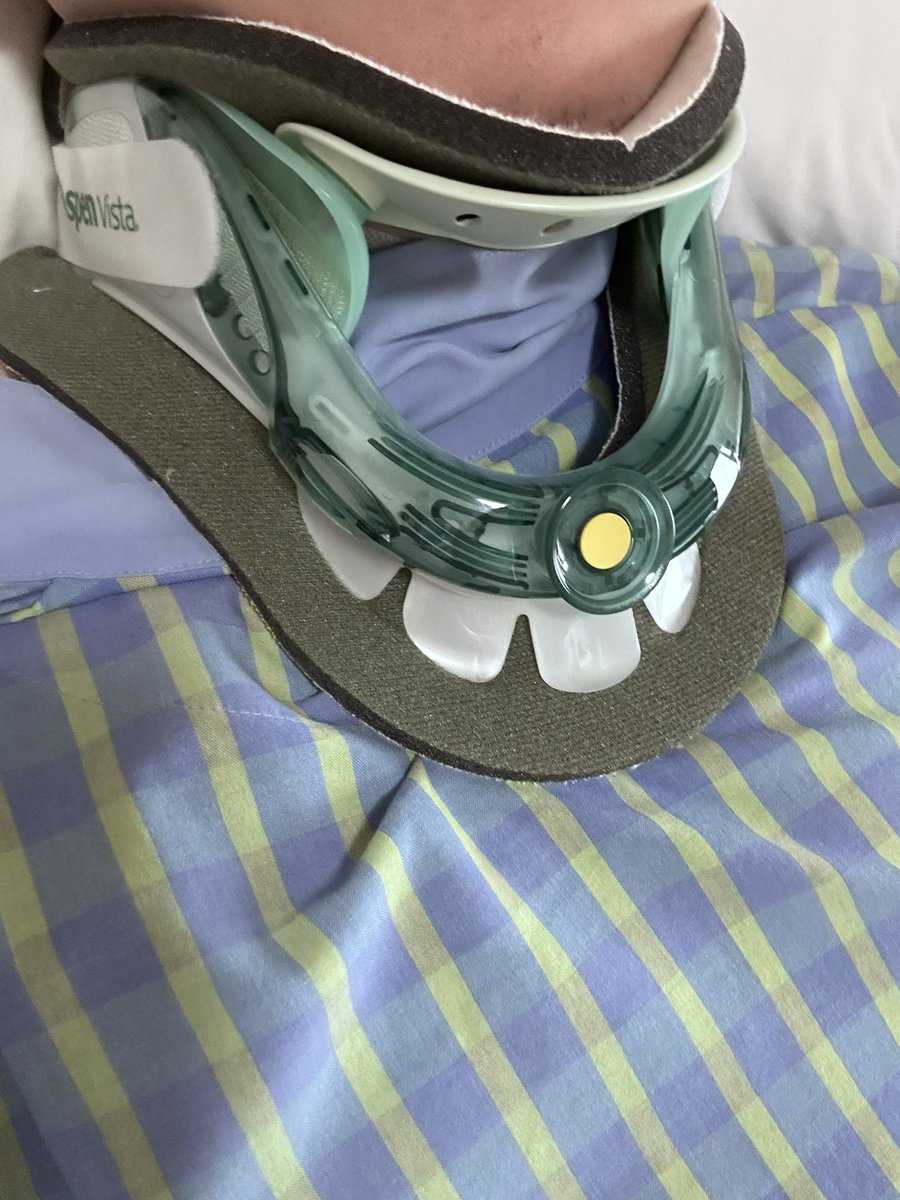 Papachin/怕怕 tweet media