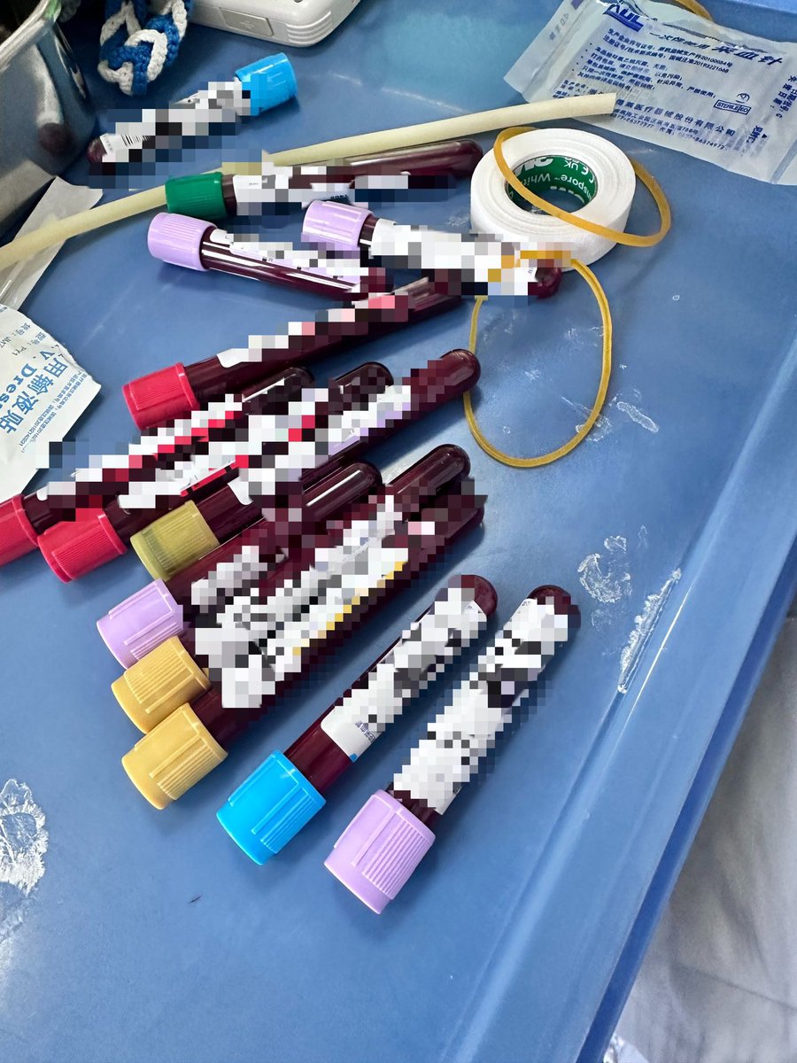 Papachin/怕怕 tweet media