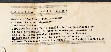 Historia de Rosario Central tweet media