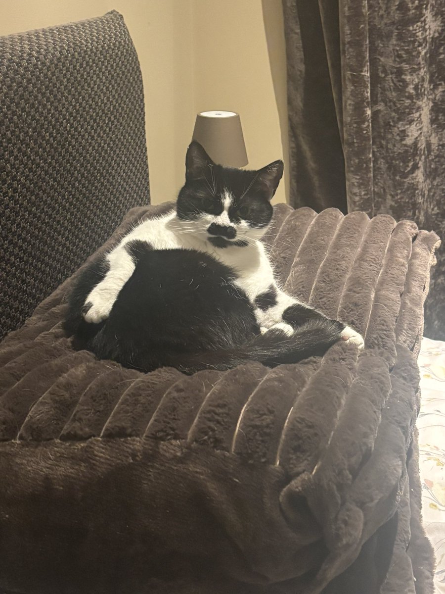 Love going to bed to this sight pfftt