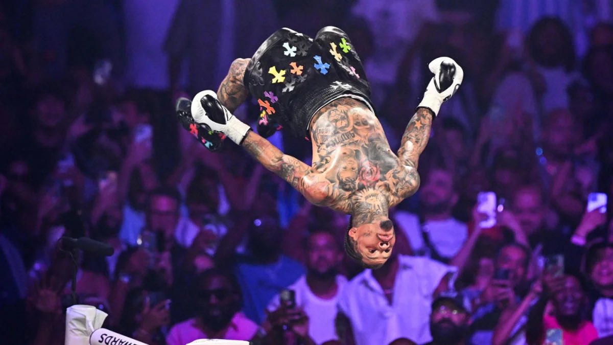 Halo 🎸🎹🥊 tweet media