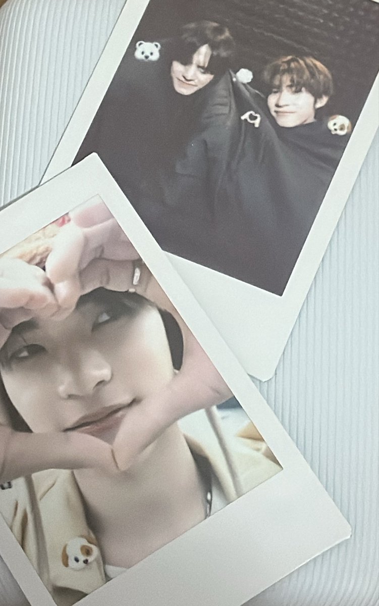 lim ‧˚꒰🐾୭ ˚. ᵎᵎ tweet media