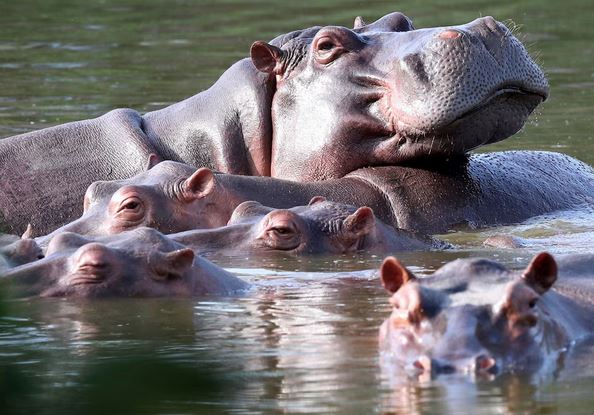 Un poco de Tendencias tweet media