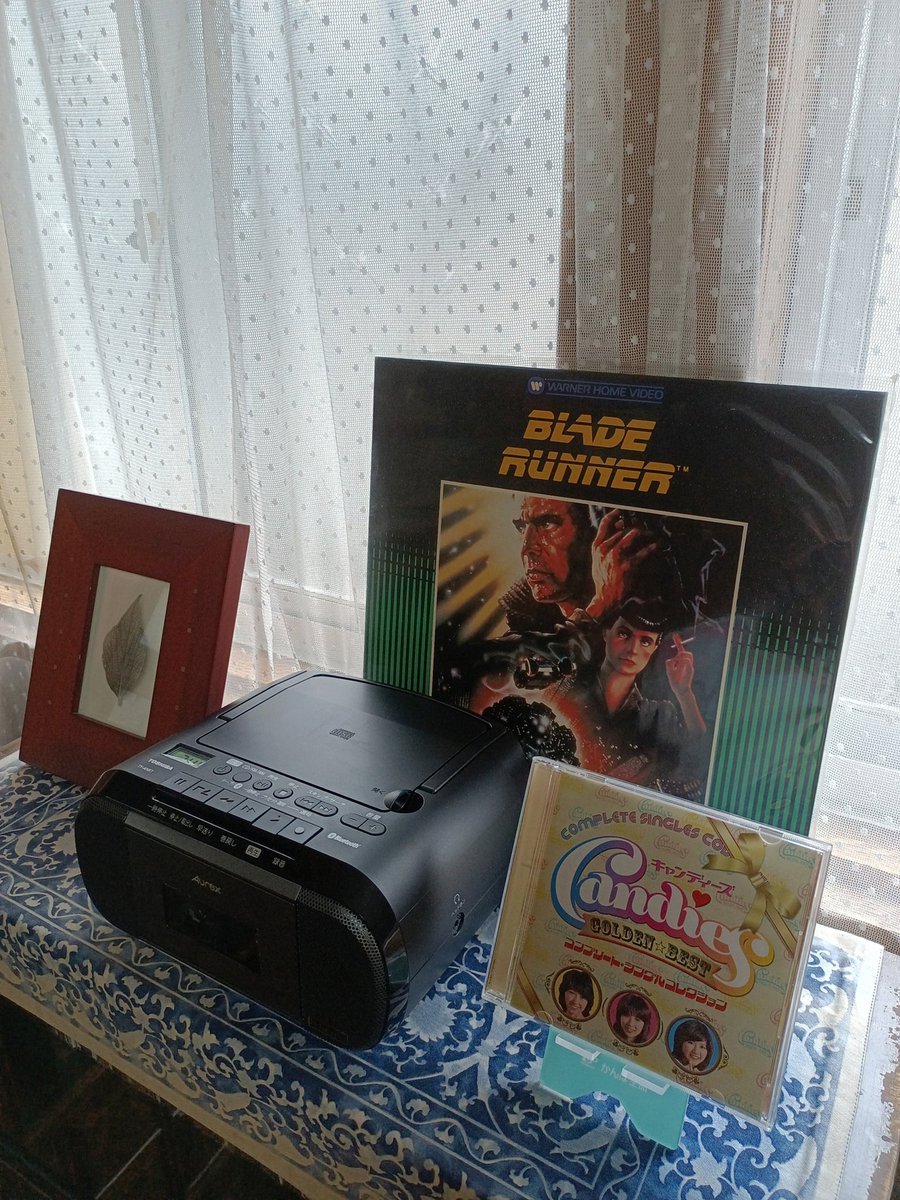 Shinichi a_BEAR tweet media