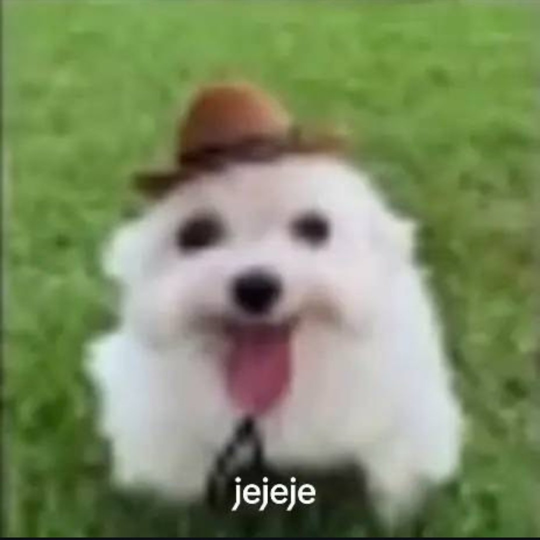 𝔖𝔥𝔯𝔢𝔡𝔡𝔢𝔯𝔪𝔞𝔫² tweet media