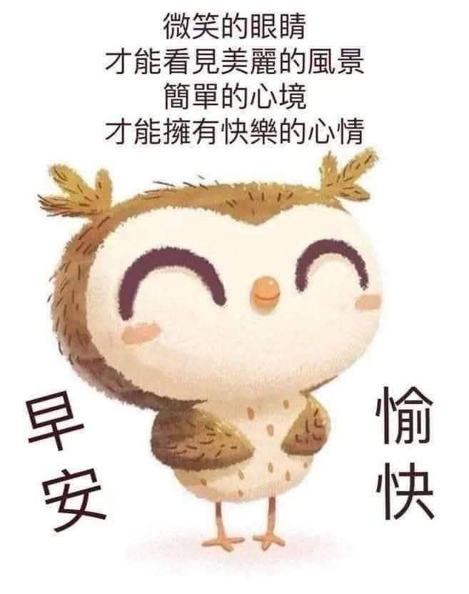 带着瓷器去跑步（互fo💯） tweet media