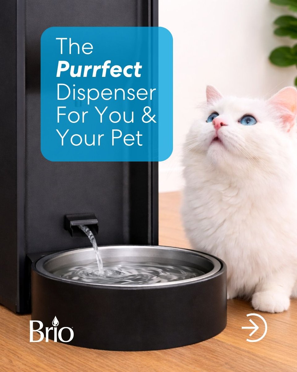 Brio Water tweet media