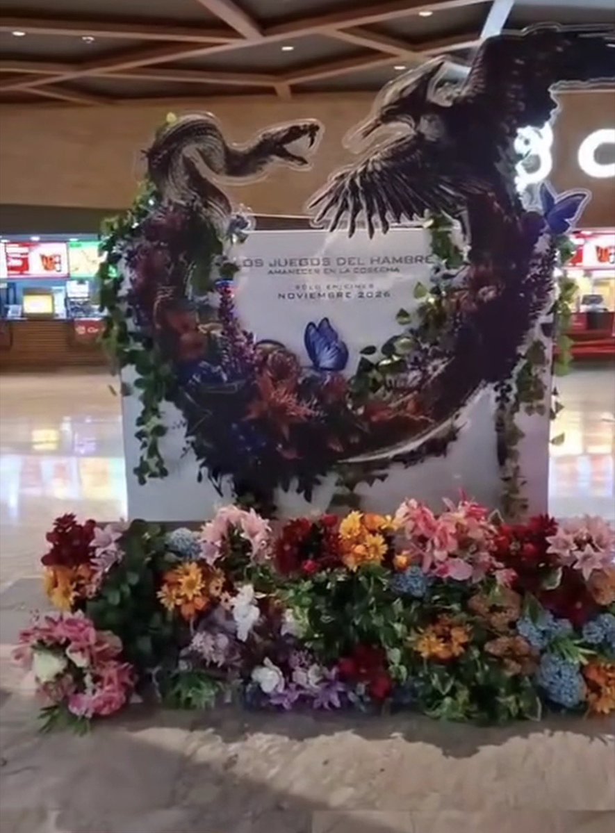 fer 𖧁୧ ┊ SOTR ┊ tweet media