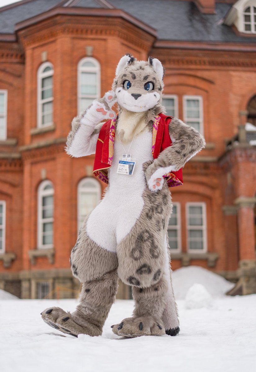 シュエ・ガオ（ひもーの） tweet media