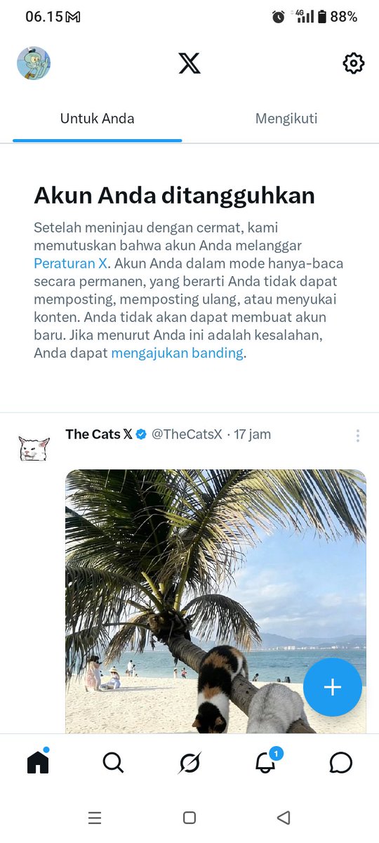 Indomarc tweet media