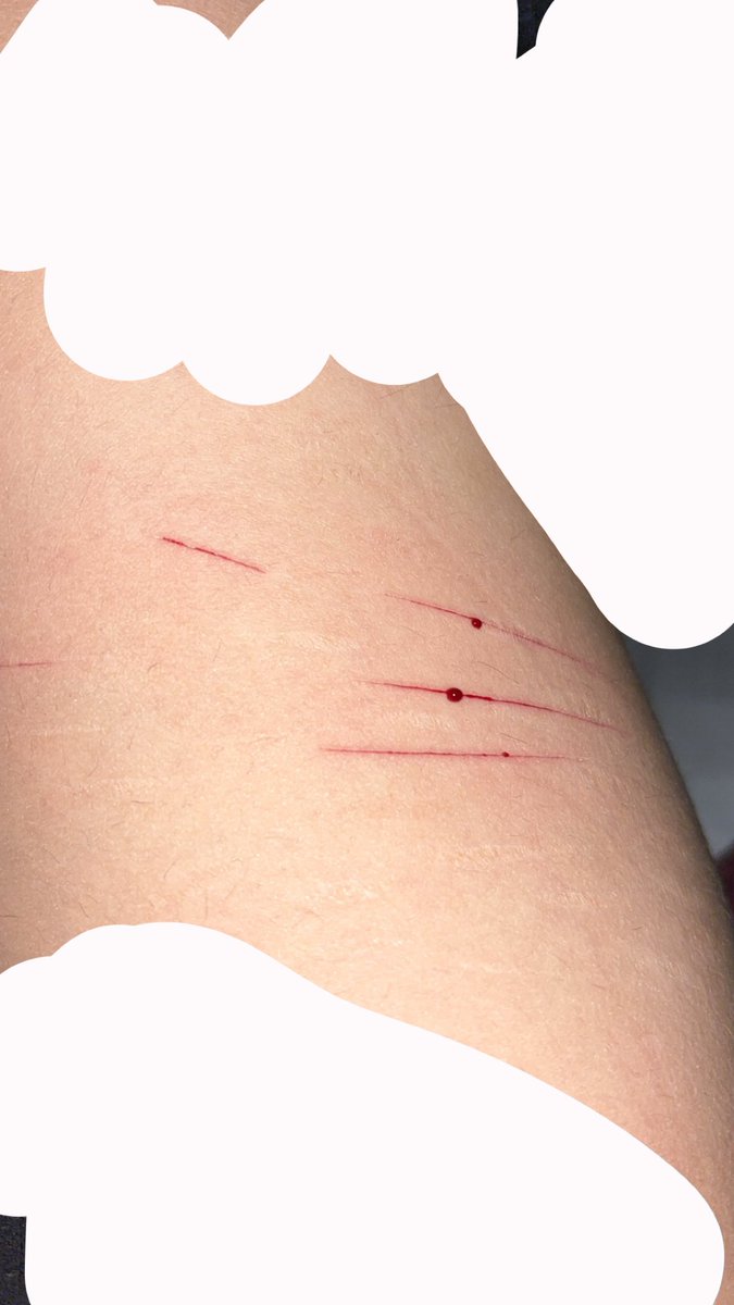 aurora ⋆˚꩜。 shedtwt tweet media