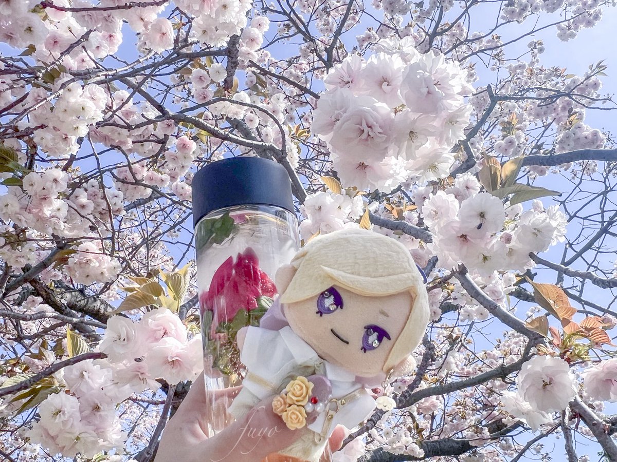 芙蓉nail-F factory 💍⏩5/5🥓東3の18ab tweet media