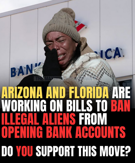 SaltyGoat tweet media