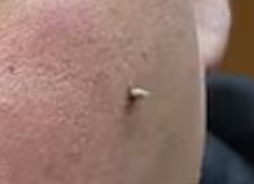 Beowulf Raider tweet media