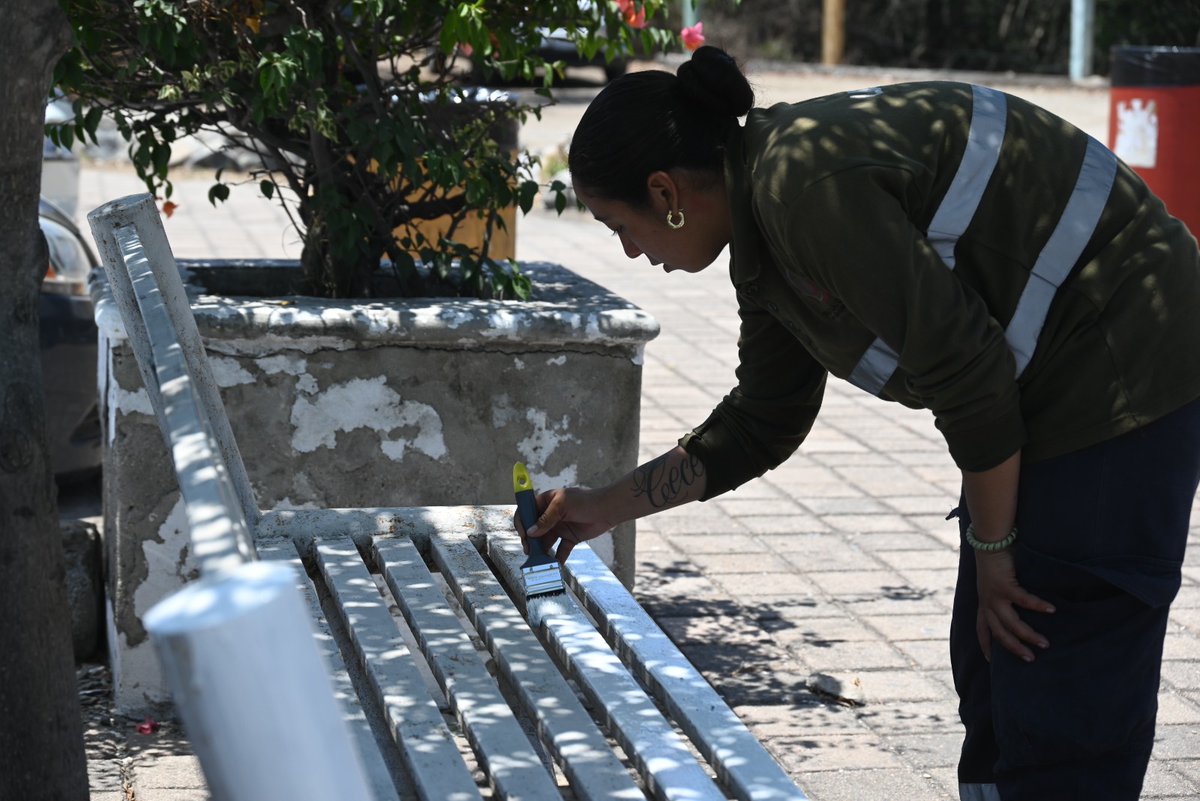 Puerto Manzanillo tweet media