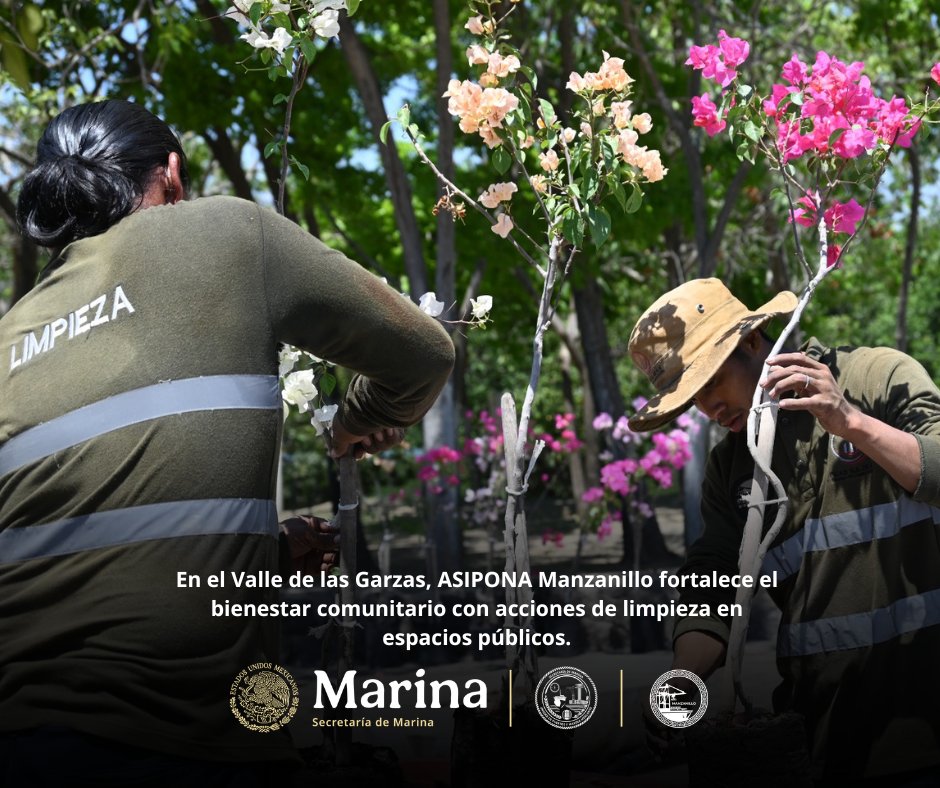 Puerto Manzanillo tweet media