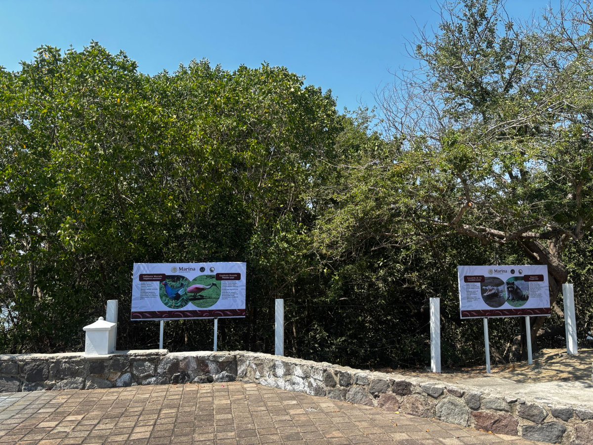 Puerto Manzanillo tweet media