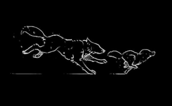 ☆ 𝔒𝔩𝔩𝔦𝔢 ☆ tweet media