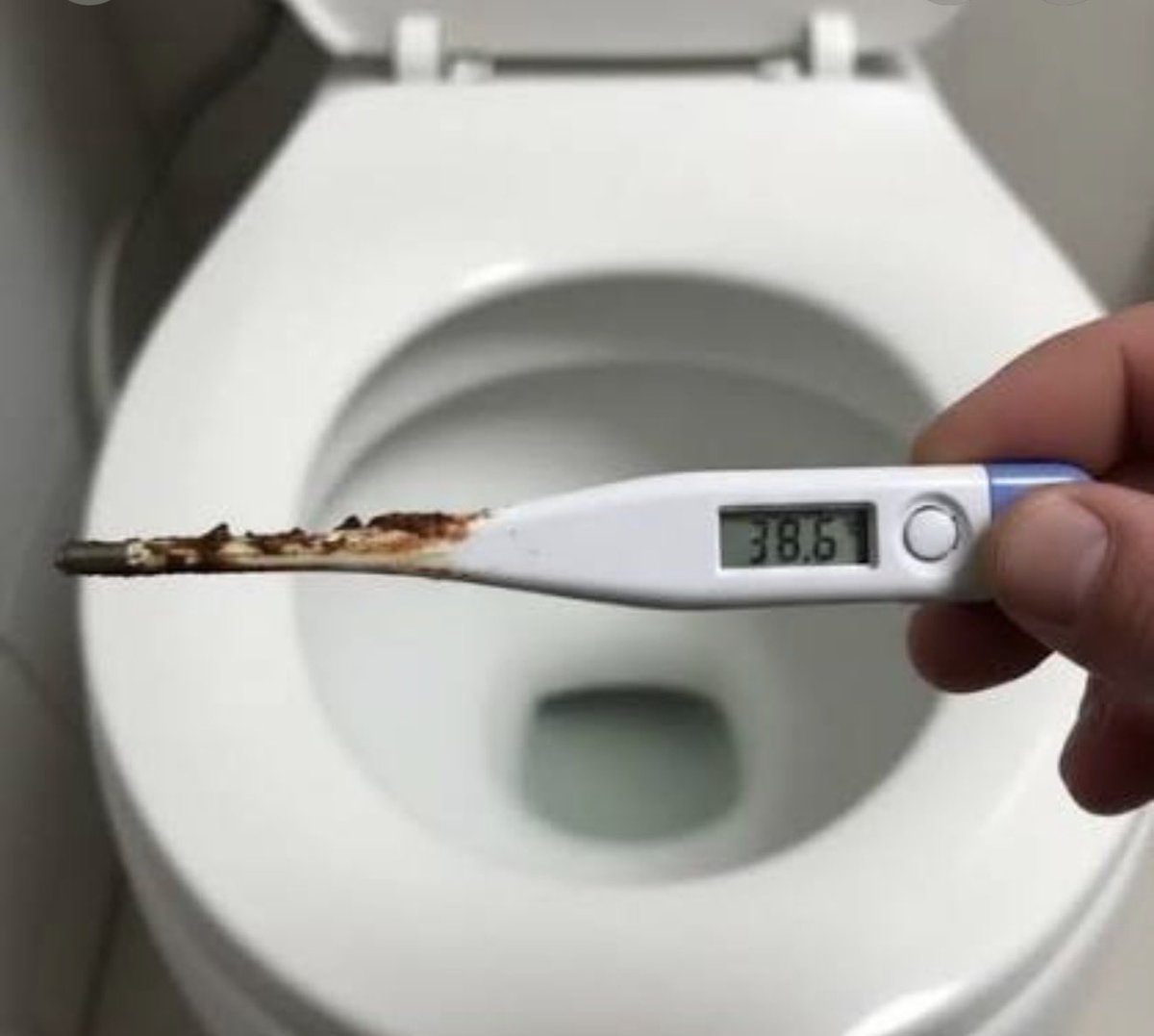 𝓠𝓾𝓮𝓮𝓷 𝓚𝓮𝓵𝓼𝔂 tweet media