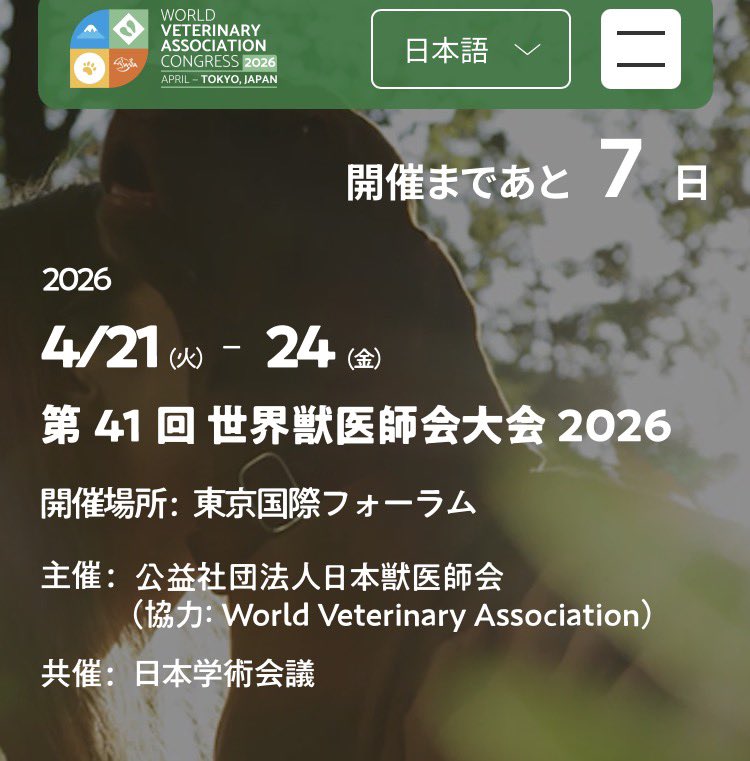 Sakura大猫=摩虚羅 tweet media