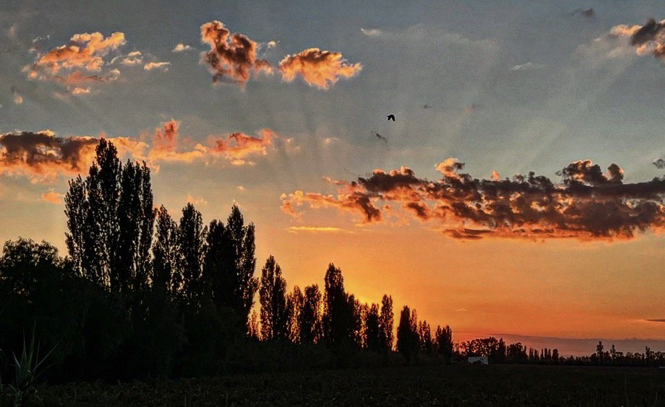 alevigilmalbec's tweet image. Suspiros #Mendoza