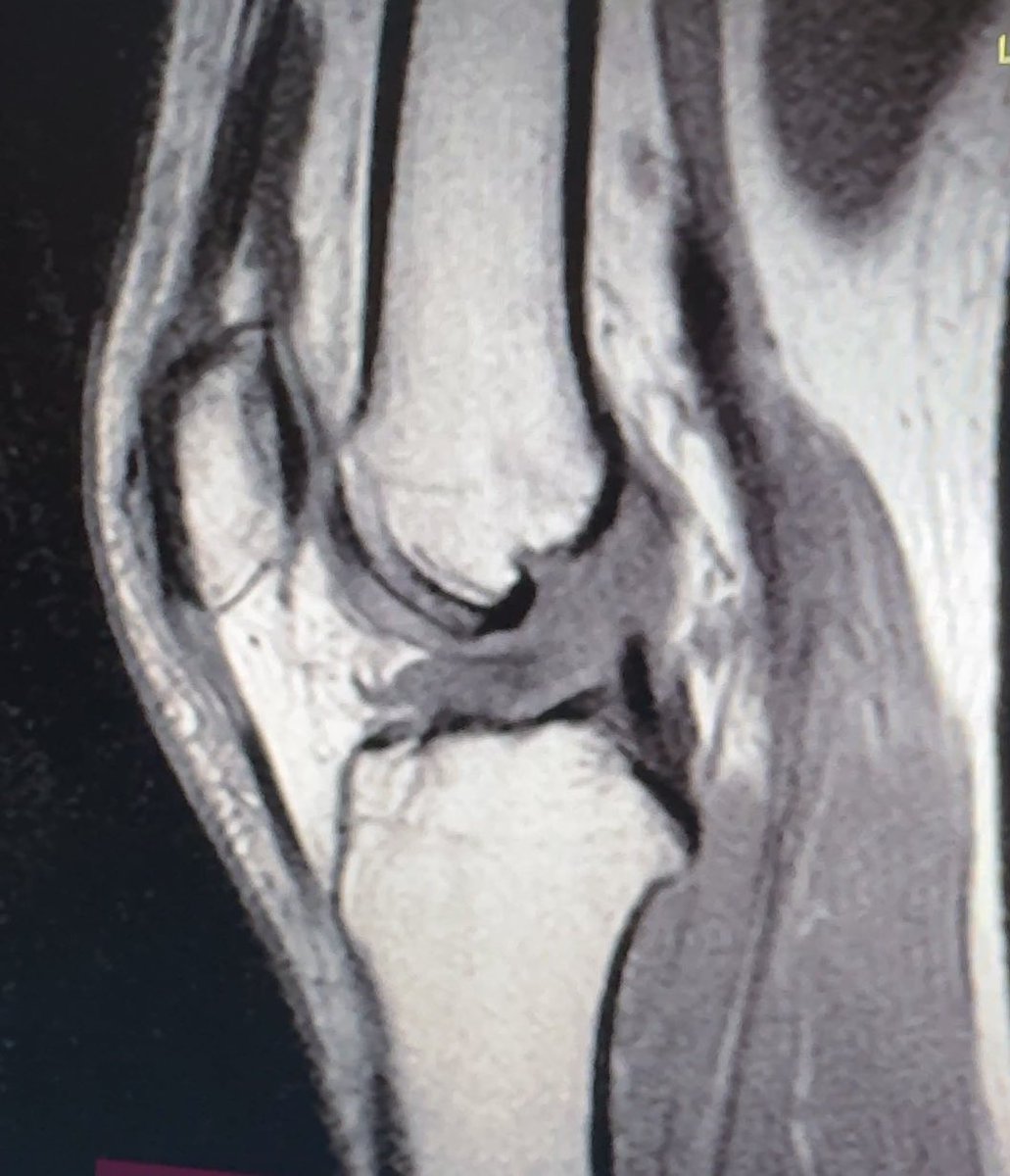 “Fancy” Ryan Clancy | 「ファンシー」ライアン・クランシー tweet media