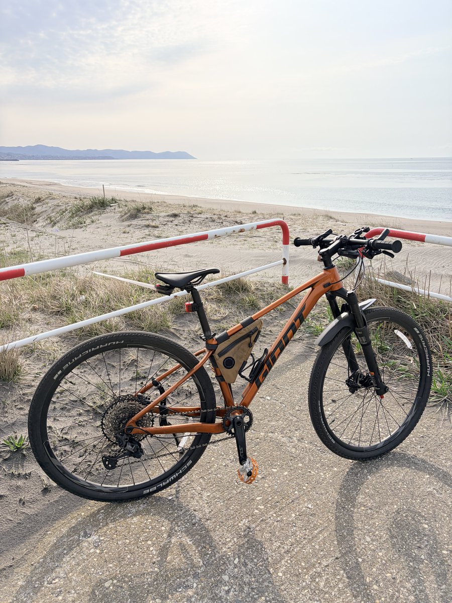 pikacycling@ tweet media