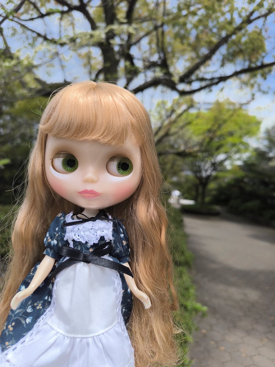 lovedauphine's tweet photo. 昨日は久々にアレグラさんとウォーキング
9キロ！
楽しかった！
そしてアレグラさん陽の光の下で見るとさらに美しかったです💞ᩚ
 #ブライス  #blythe https://t.co/QIvAO9O7Va