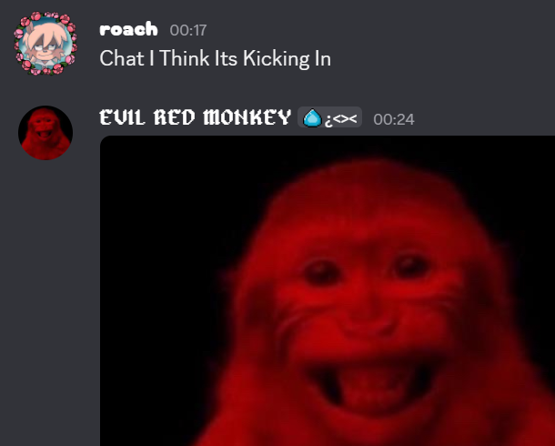 roach!! 🧀 INDONESIA IN 4 MONTHS!!! tweet media